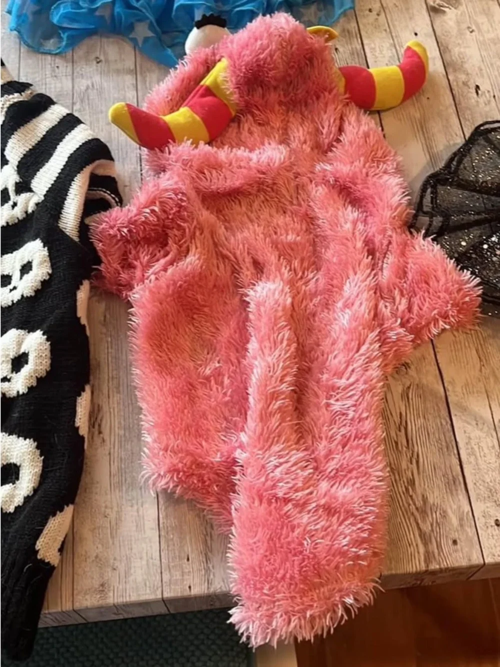 Assorted Pet Costumes